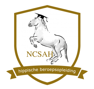 NCSAH Hippische beroepsopleiding dressuur